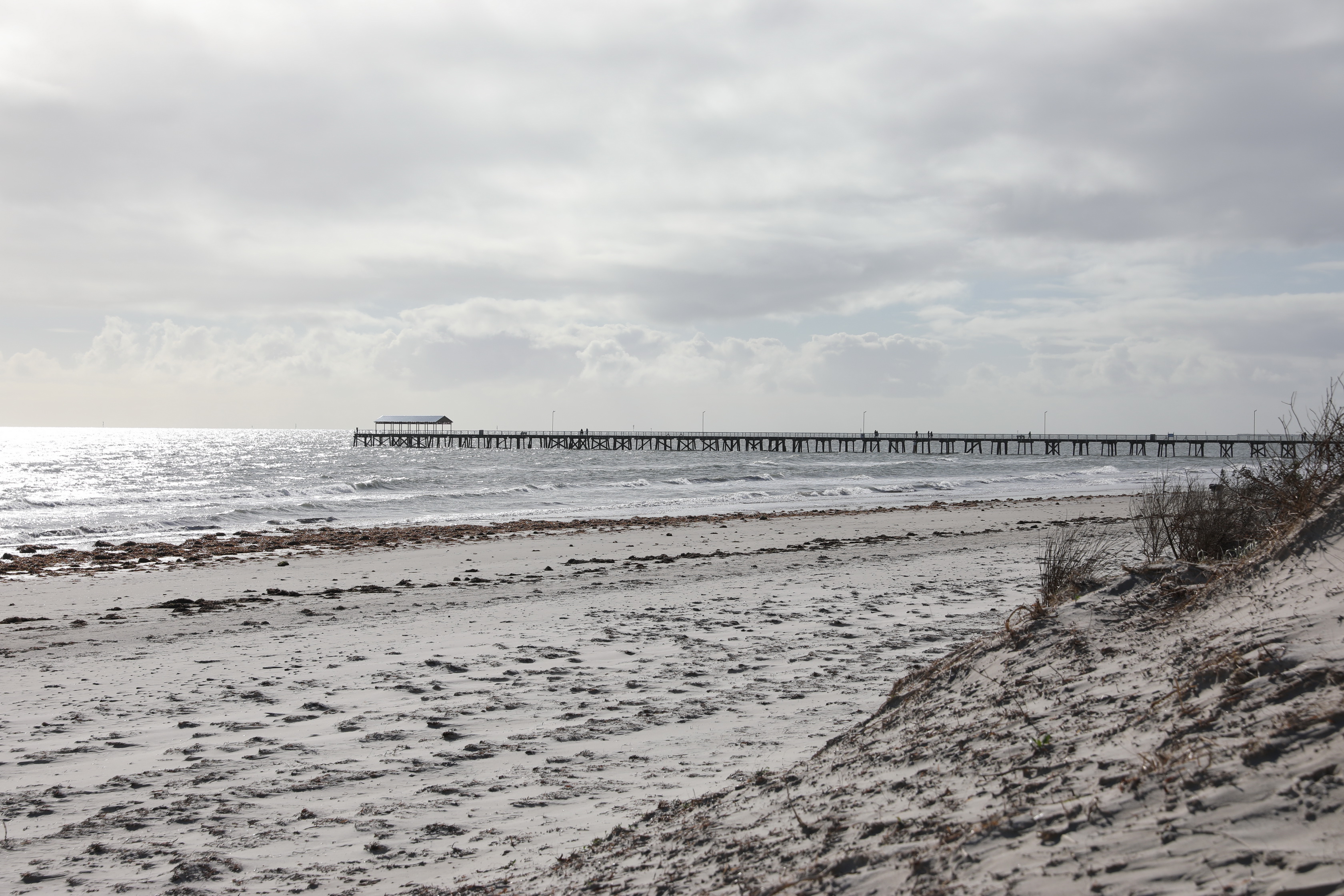 2019 08 11 14 52 42 Canon EOS 5D Mark IV 0008